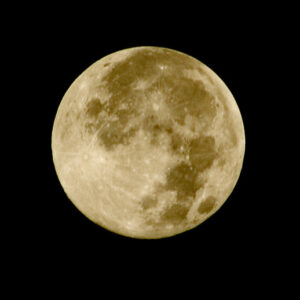 6-8-DSCF0088